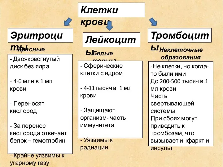 Клетки крови Тромбоциты Лейкоциты Эритроциты Красные тельца Белые тельца Неклеточные образования -