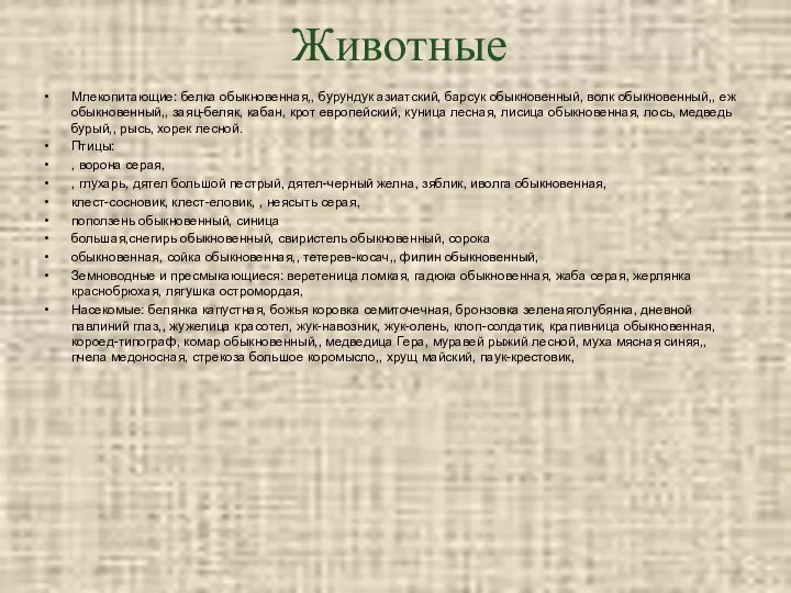 Животные Млекопитающие: белка обыкновенная,, бурундук азиатский, барсук обыкновенный, волк обыкновенный,, еж обыкновенный,,