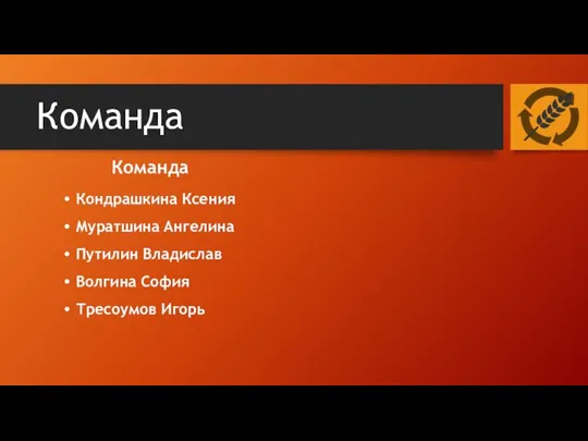 Команда Команда Кондрашкина Ксения Муратшина Ангелина Путилин Владислав Волгина София Тресоумов Игорь