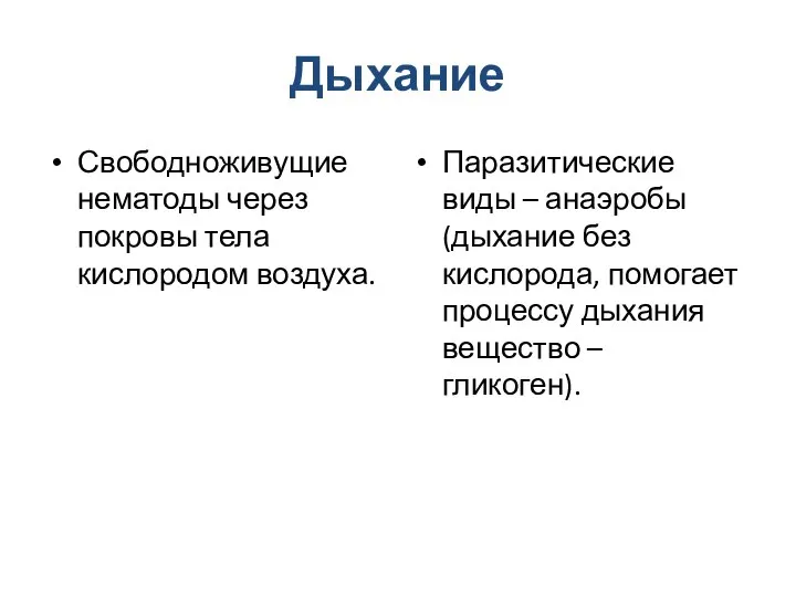 Дыхание Свободноживущие нематоды через покровы тела кислородом воздуха. Паразитические виды – анаэробы