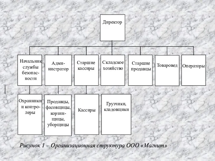 Рисунок 1 – Организационная структура ООО «Магнит»