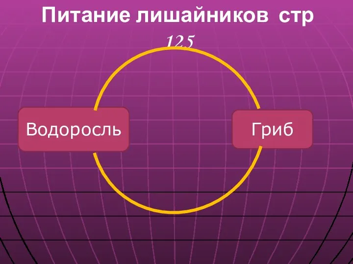 Питание лишайников стр 125 Водоросль Гриб