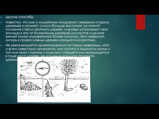 Другие способы Известно, что мхи и лишайники покрывают северную сторону деревьев и