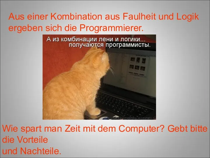 Aus einer Kombination aus Faulheit und Logik ergeben sich die Programmierer. Wie