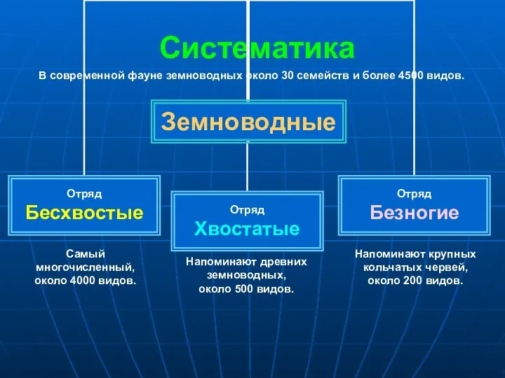 Систематика В современной фауне земноводных около 30 семейств и более 4500 видов.