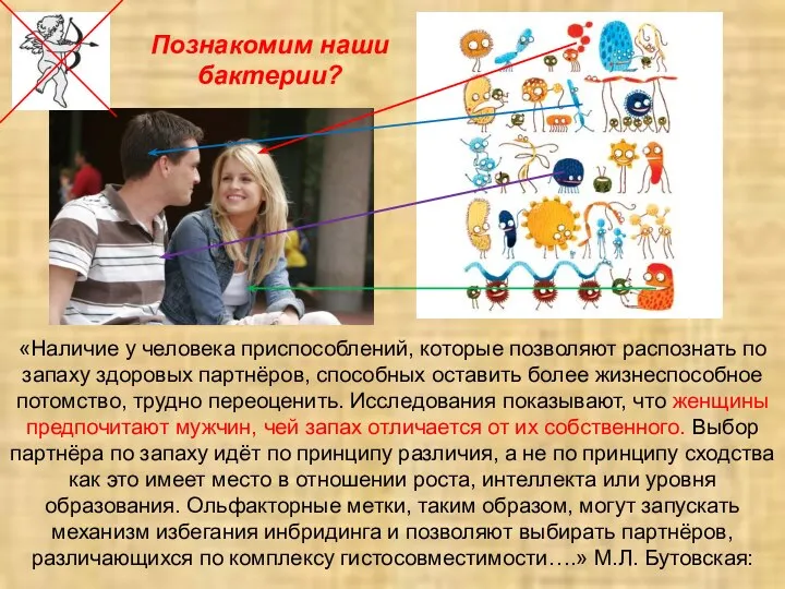 «Наличие у человека приспособлений, которые позволяют распознать по запаху здоровых партнёров, способных