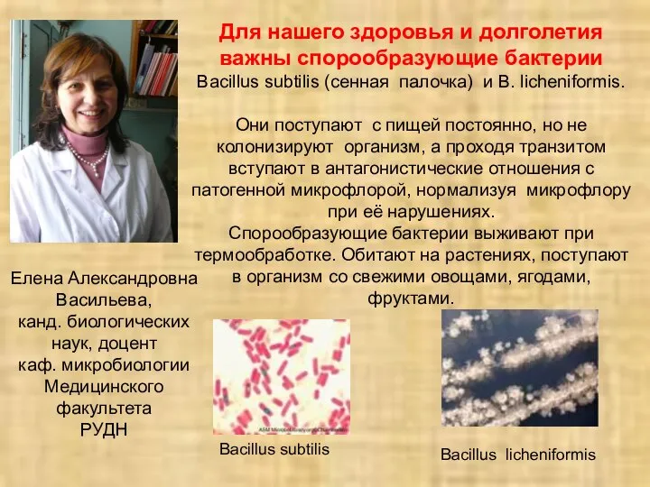 Елена Александровна Васильева, канд. биологических наук, доцент каф. микробиологии Медицинского факультета РУДН