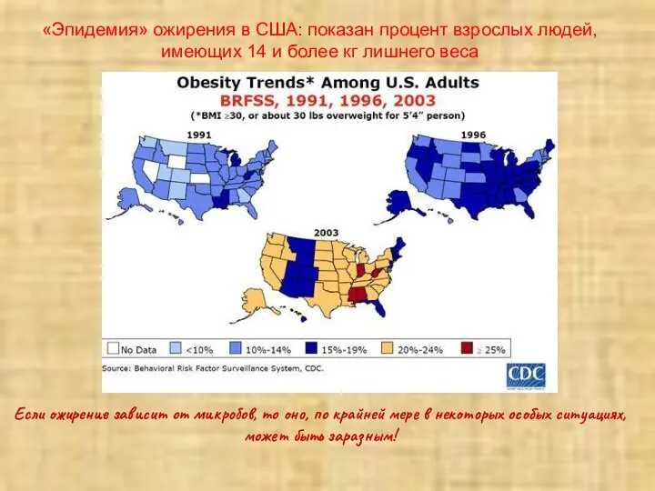 «Эпидемия» ожирения в США: показан процент взрослых людей, имеющих 14 и более