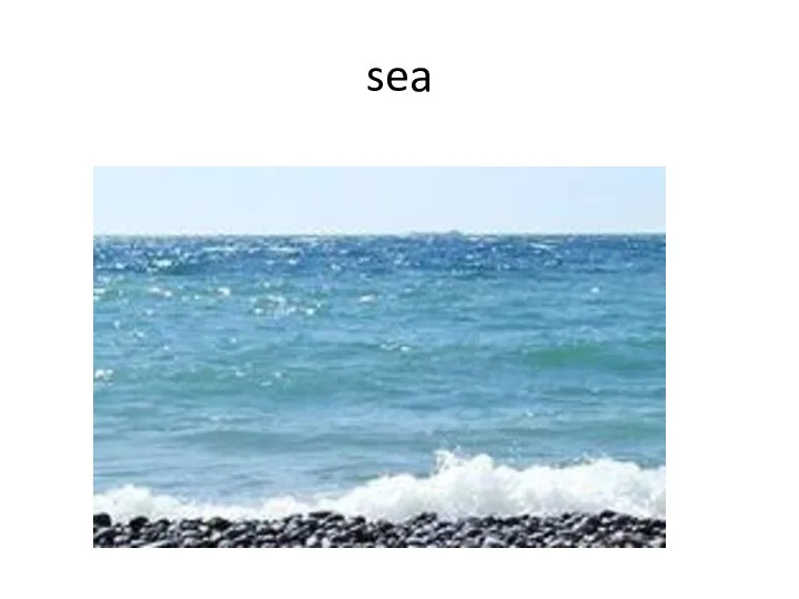 sea