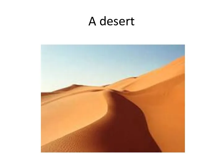 A desert