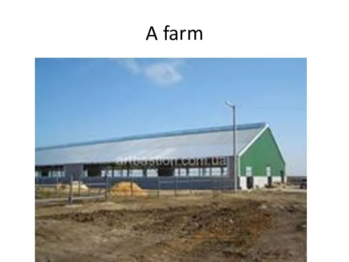 A farm