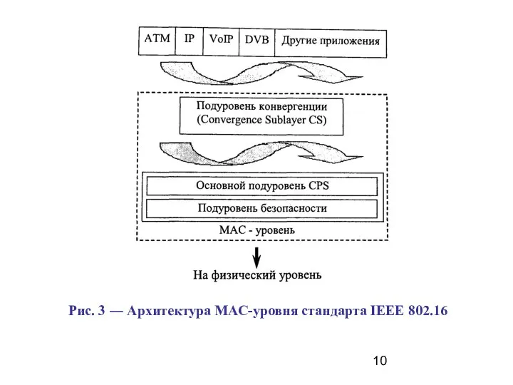 Рис. 3 ― Архитектура МАС-уровня стандарта IEЕЕ 802.16