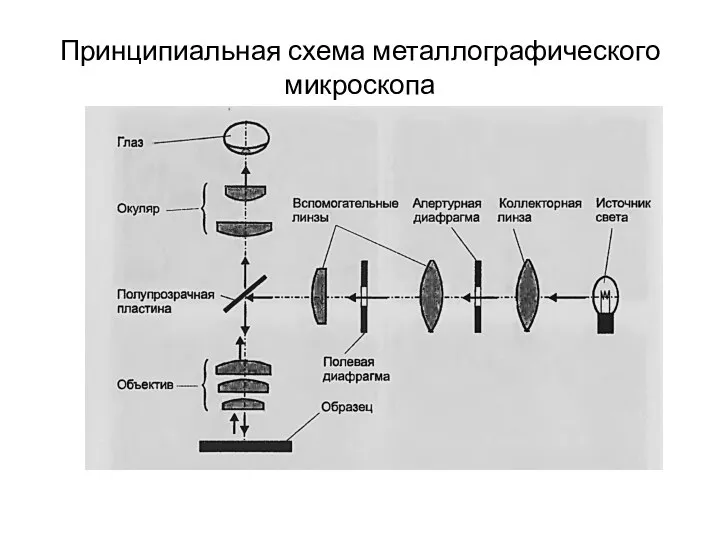 Принципиальная схема металлографического микроскопа