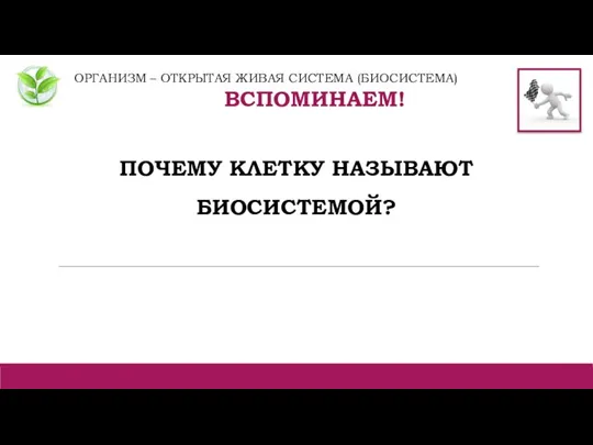 ОРГАНИЗМ – ОТКРЫТАЯ ЖИВАЯ СИСТЕМА (БИОСИСТЕМА) ВСПОМИНАЕМ! ПОЧЕМУ КЛЕТКУ НАЗЫВАЮТ БИОСИСТЕМОЙ?