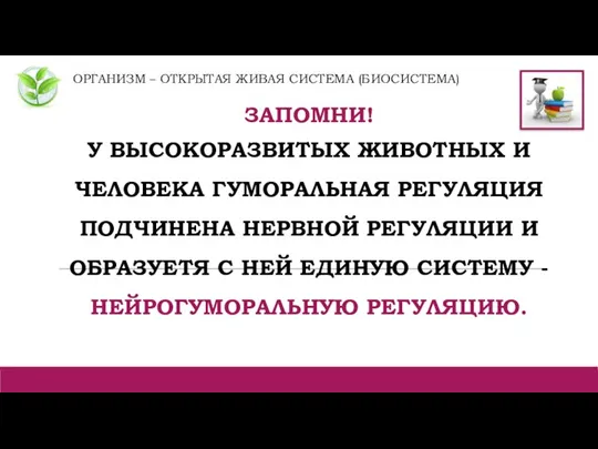 ОРГАНИЗМ – ОТКРЫТАЯ ЖИВАЯ СИСТЕМА (БИОСИСТЕМА) ЗАПОМНИ! У ВЫСОКОРАЗВИТЫХ ЖИВОТНЫХ И ЧЕЛОВЕКА