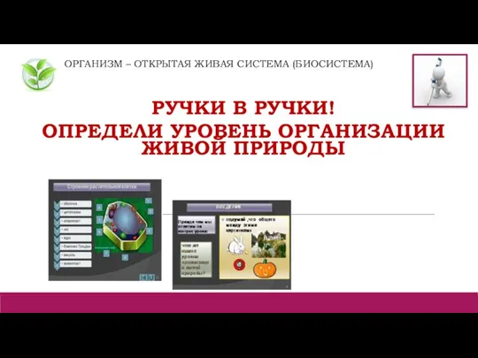 ОРГАНИЗМ – ОТКРЫТАЯ ЖИВАЯ СИСТЕМА (БИОСИСТЕМА) РУЧКИ В РУЧКИ! ОПРЕДЕЛИ УРОВЕНЬ ОРГАНИЗАЦИИ ЖИВОЙ ПРИРОДЫ