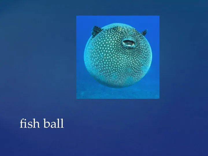 fish ball