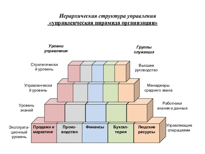 Иерархическая структура управления «управленческая пирамида организации»