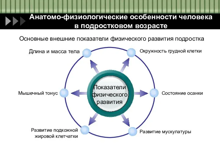 Показатели физического развития Окружность грудной клетки Длина и масса тела Состояние осанки