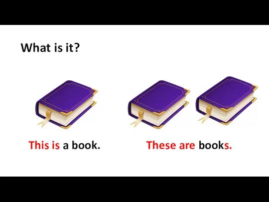 What is it? This is a book. These are books.