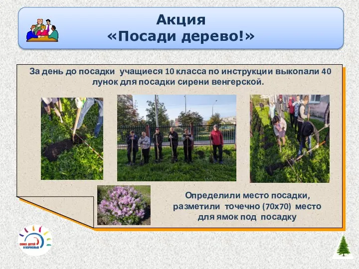 Акция «Посади дерево!» За день до посадки учащиеся 10 класса по инструкции