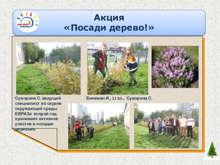 Акция «Посади дерево!» Суворина С. ведущий специалист по охране окружающей среды ЕВРАЗа