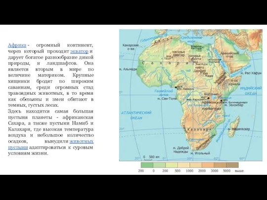 Африка - огромный континент, через который проходит экватор и дарует богатое разнообразие