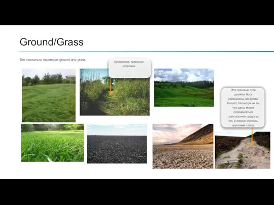 Ground/Grass Вот несколько примеров ground and grass. Кустарники, травяные доорожки Эти грязевые