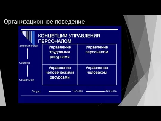 Организационное поведение