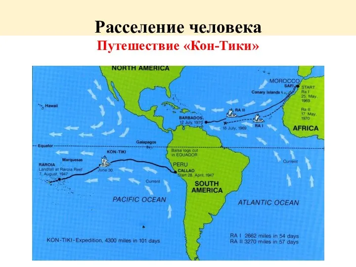 Расселение человека Путешествие «Кон-Тики»