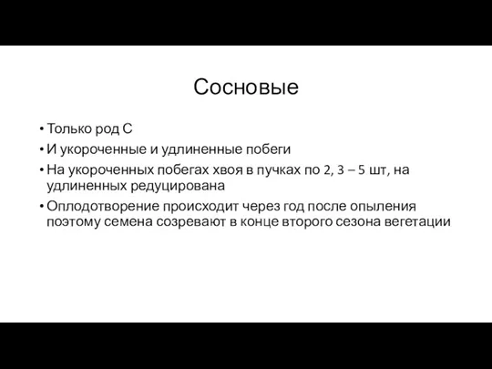 Сосновые Только род С И укороченные и удлиненные побеги На укороченных побегах