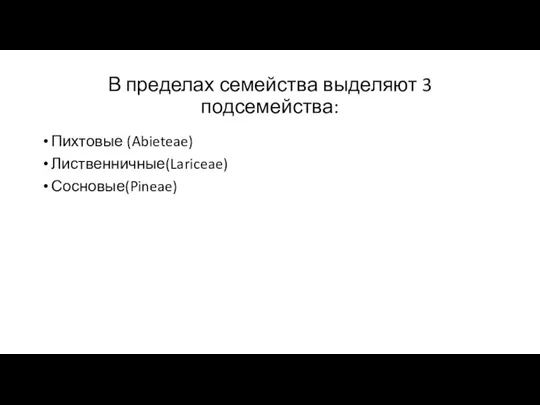 В пределах семейства выделяют 3 подсемейства: Пихтовые (Abieteae) Лиственничные(Lariceae) Сосновые(Pineae)