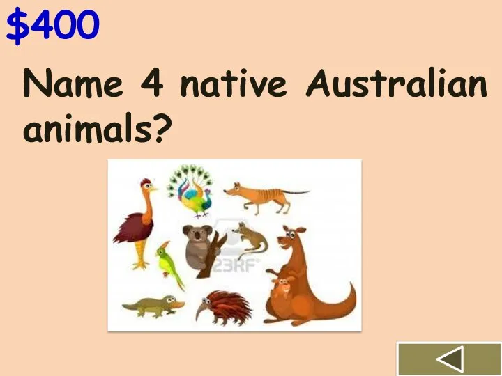 Name 4 native Australian animals? $400