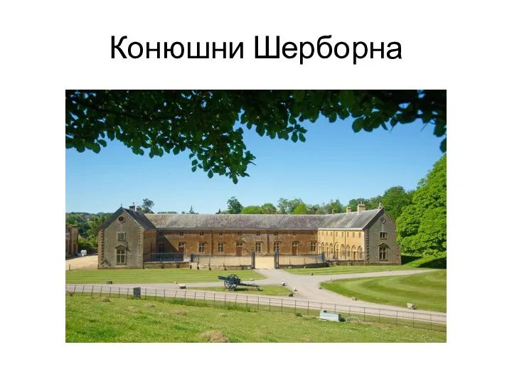 Конюшни Шерборна