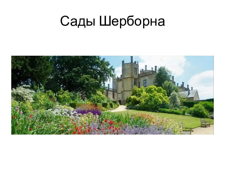 Сады Шерборна