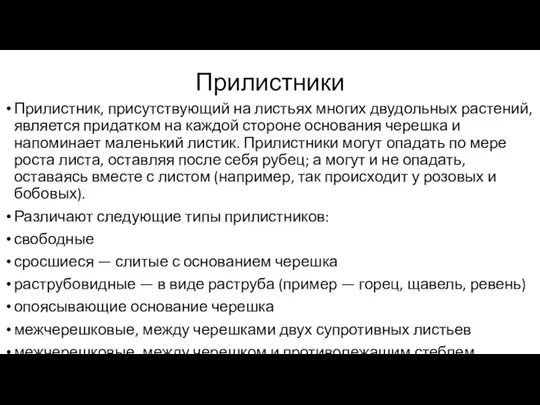 Прилистники Прилистник, присутствующий на листьях многих двудольных растений, является придатком на каждой