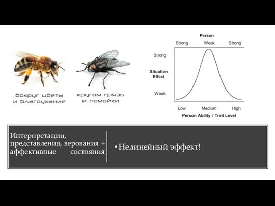 Интерпретации, представления, верования + аффективные состояния Нелинейный эффект!