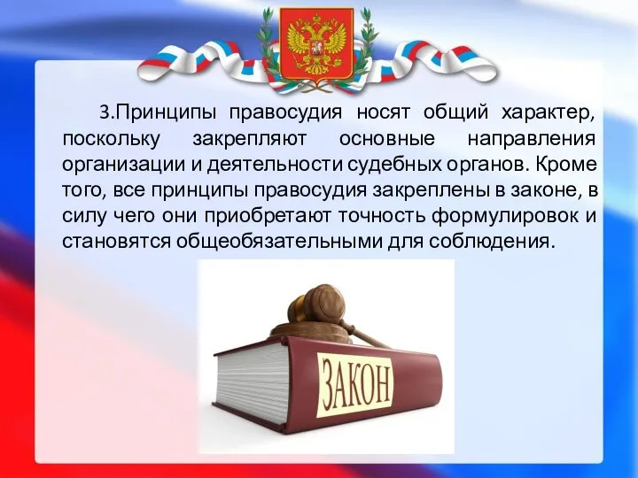 3.Принципы правосудия носят общий характер, поскольку закрепляют основные направления организации и деятельности