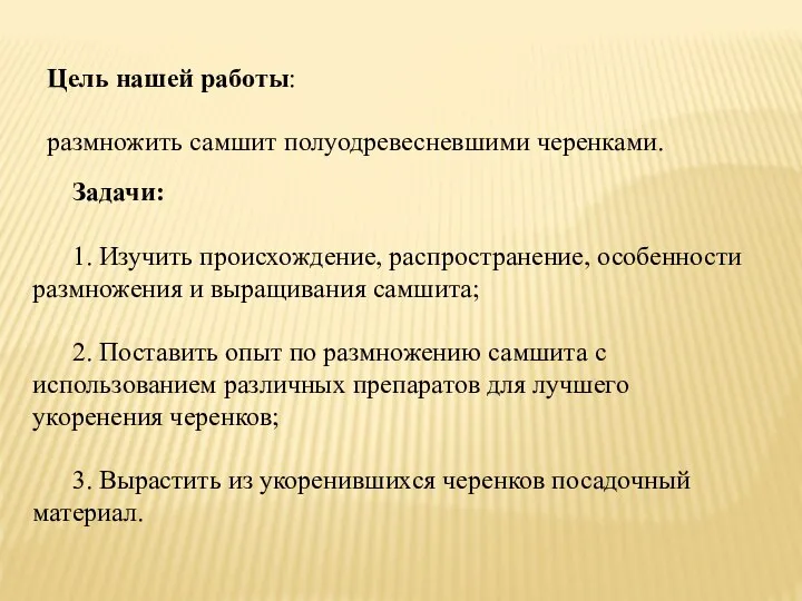 Цель нашей работы: размножить самшит полуодревесневшими черенками. Задачи: 1. Изучить происхождение, распространение,