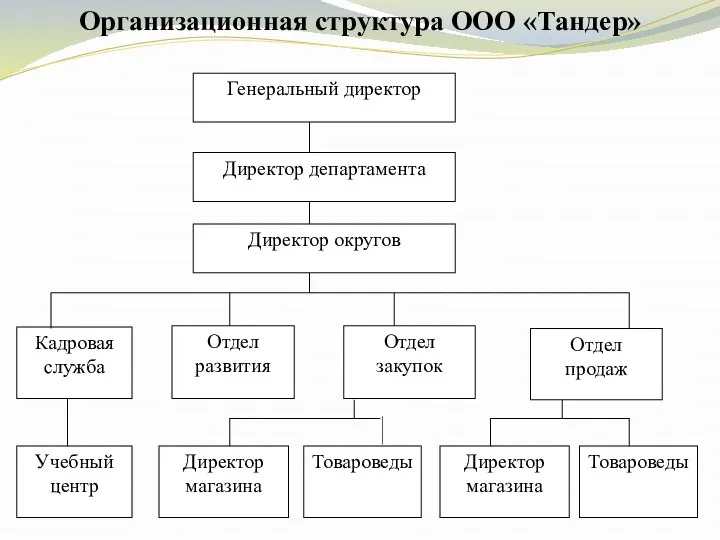 Организационная структура ООО «Тандер»