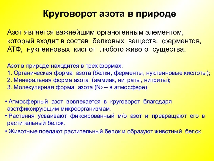 Круговорот азота в природе Азот является важнейшим органогенным элементом, который входит в