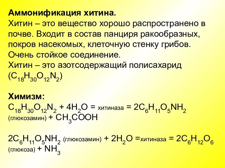 Аммонификация хитина. Хитин – это вещество хорошо распространено в почве. Входит в