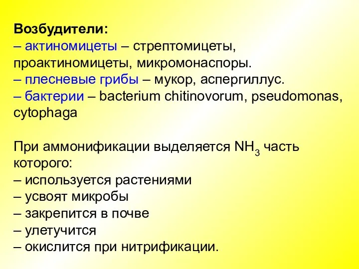 Возбудители: – актиномицеты – стрептомицеты, проактиномицеты, микромонаспоры. – плесневые грибы – мукор,