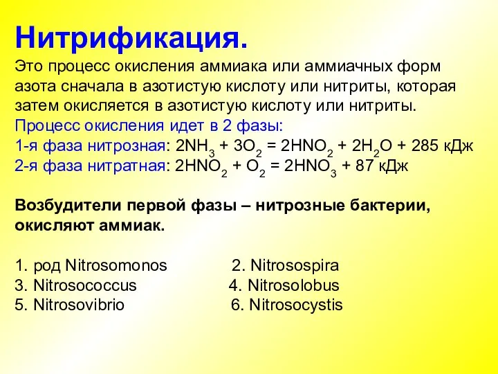 Нитрификация. Это процесс окисления аммиака или аммиачных форм азота сначала в азотистую