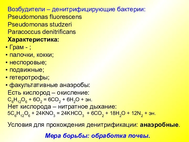 Возбудители – денитрифицирующие бактерии: Pseudomonas fluorescens Pseudomonas studzeri Paracoccus denitrificans Характеристика: Грам