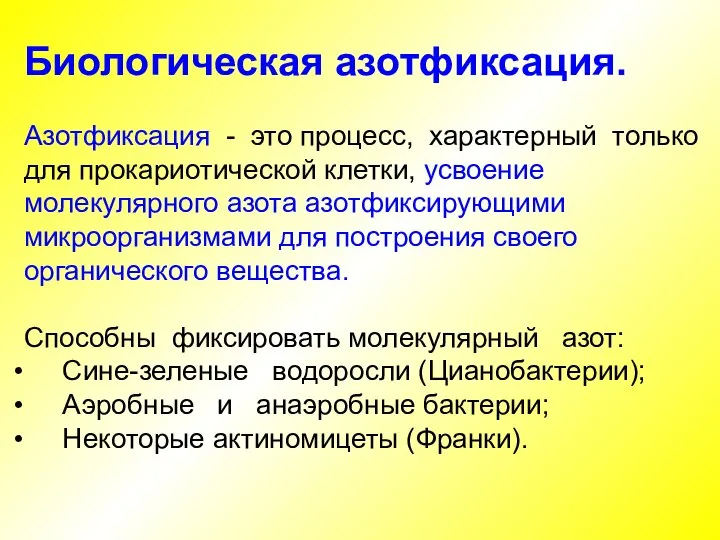 Биологическая азотфиксация. Азотфиксация - это процесс, характерный только для прокариотической клетки, усвоение