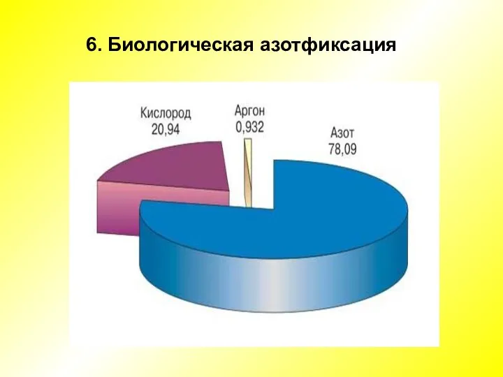 6. Биологическая азотфиксация