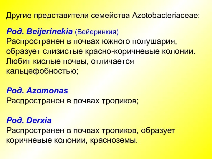 Другие представители семейства Azotobacteriaceae: Род. Beijerinekia (Бейеринкия) Распространен в почвах южного полушария,