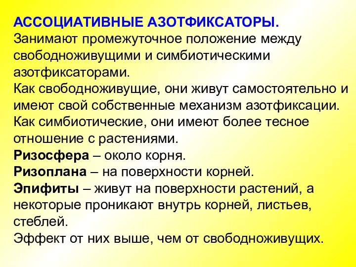 АССОЦИАТИВНЫЕ АЗОТФИКСАТОРЫ. Занимают промежуточное положение между свободноживущими и симбиотическими азотфиксаторами. Как свободноживущие,