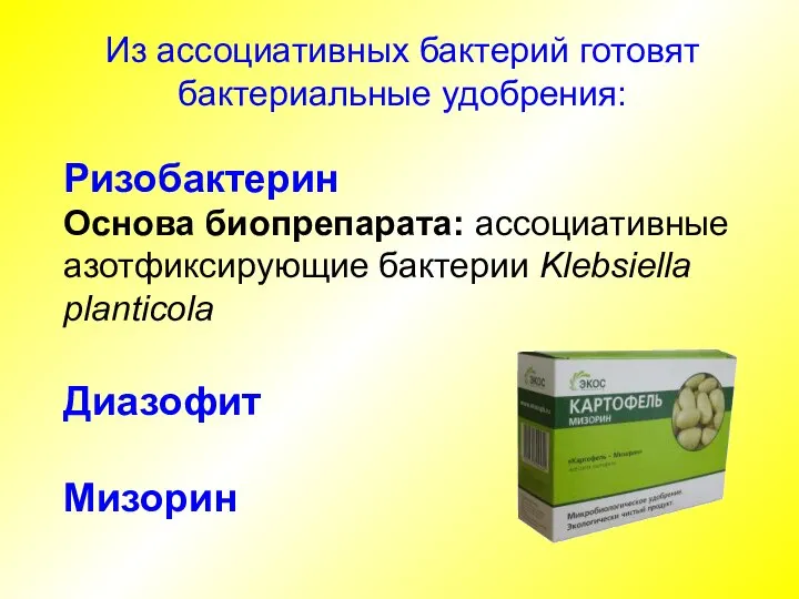 Ризобактерин Основа биопрепарата: ассоциативные азотфиксирующие бактерии Klebsiella planticola Диазофит Мизорин Из ассоциативных бактерий готовят бактериальные удобрения: